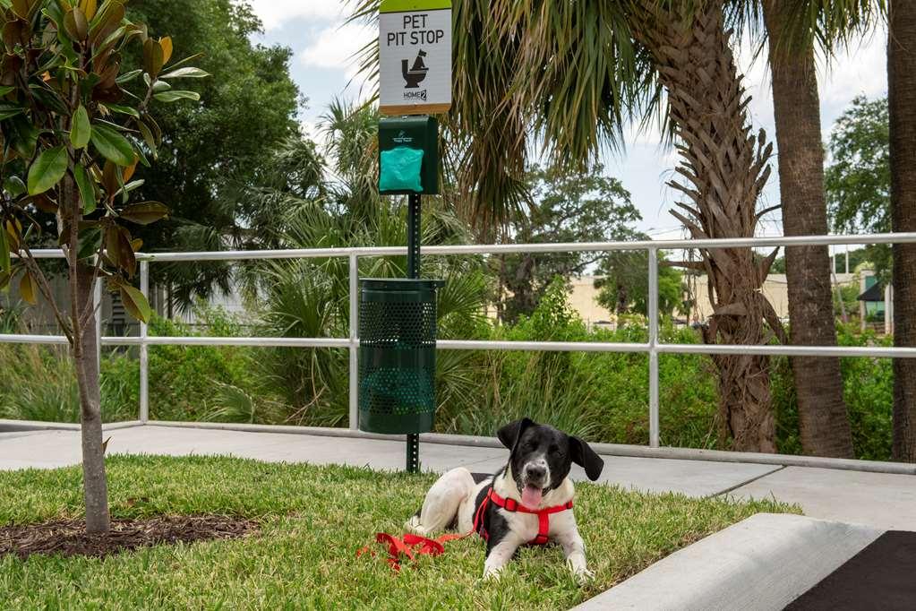 Home2 Suites By Hilton Tampa Westshore Airport Exterior foto